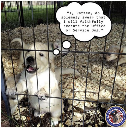 Vets Helping Heroes